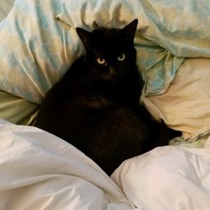 Meet your Posher, Melissa